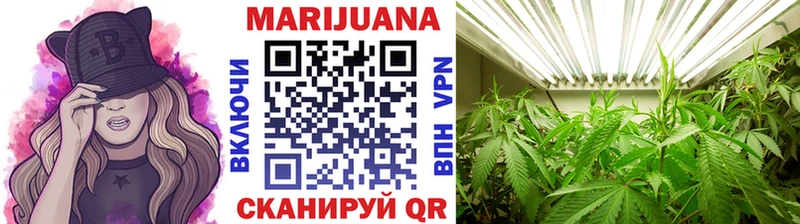 Цена Алушта omg ссылка Каннабис СОЛЬ Меф мяу мяу ГАШ Псилоцибиновые грибы