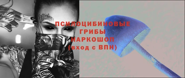 шишки Алексеевка