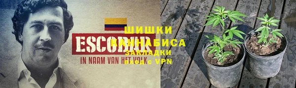 шишки Алексеевка