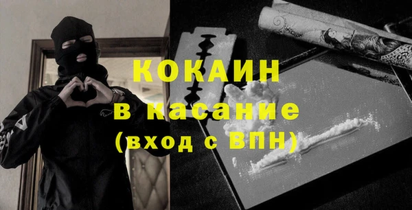 шишки Алексин