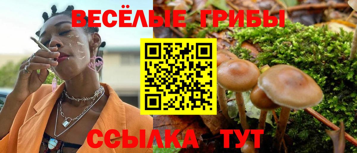 Галлюциногенные грибы Psilocybine cubensis Алушта
